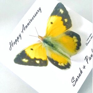 Tarjeta de mariposa 3d. Amarillo nublado, además de otras especies de mariposas. Personalizado. Hecho a mano. Acción de gracias, año nuevo, Diwali, cumpleaños, divorcio