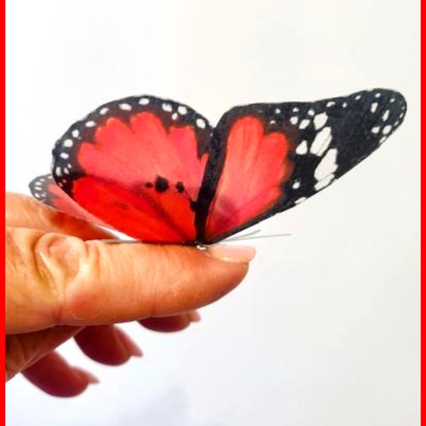 6 Scarlet Red Butterfly 3d ,luxury butterfly wall art, Home Decor Room Stickers Red 3D, butterflies wall decal,Home Decor,Wall Decal Wedding