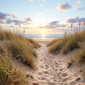 Beach Walk Scented Body Butter, Roll On Perfume, Body Oil, Body Mist, Sugar Scrub, Whipped Soap, Body Cream, Room Spray