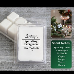 Sparkling Evergreen Soy Wax Melts, Strong Scented Wax Melts, Wax Warmer Cubes, Fall Wax Tarts, Soy Blend Wax Melts, Wax Snap Bars, Gift Idea