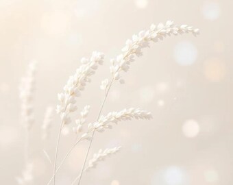 Rice Flower + Shea Scented Body Butter, Inspired Fragrance, Roll On Perfume, Body Oil, Body Mist, Sugar Scrub, Whipped Soap, Body Cream