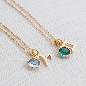 Zodiac & Birthstone Necklace, Gold zodiac necklace, birthstone jewelry