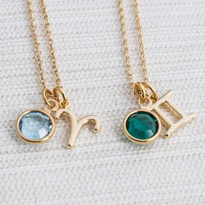 Zodiac & Birthstone Necklace, Gold zodiac necklace, birthstone jewelry image 2