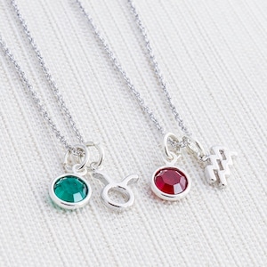Silver Zodiac & Birthstone Necklace: Personalized Charm Jewelry