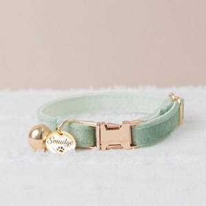 Peut inclure: Un collier de chat en velours vert clair avec une boucle dorée et une étiquette dorée sur laquelle est inscrit "Smudge" avec une empreinte de patte.