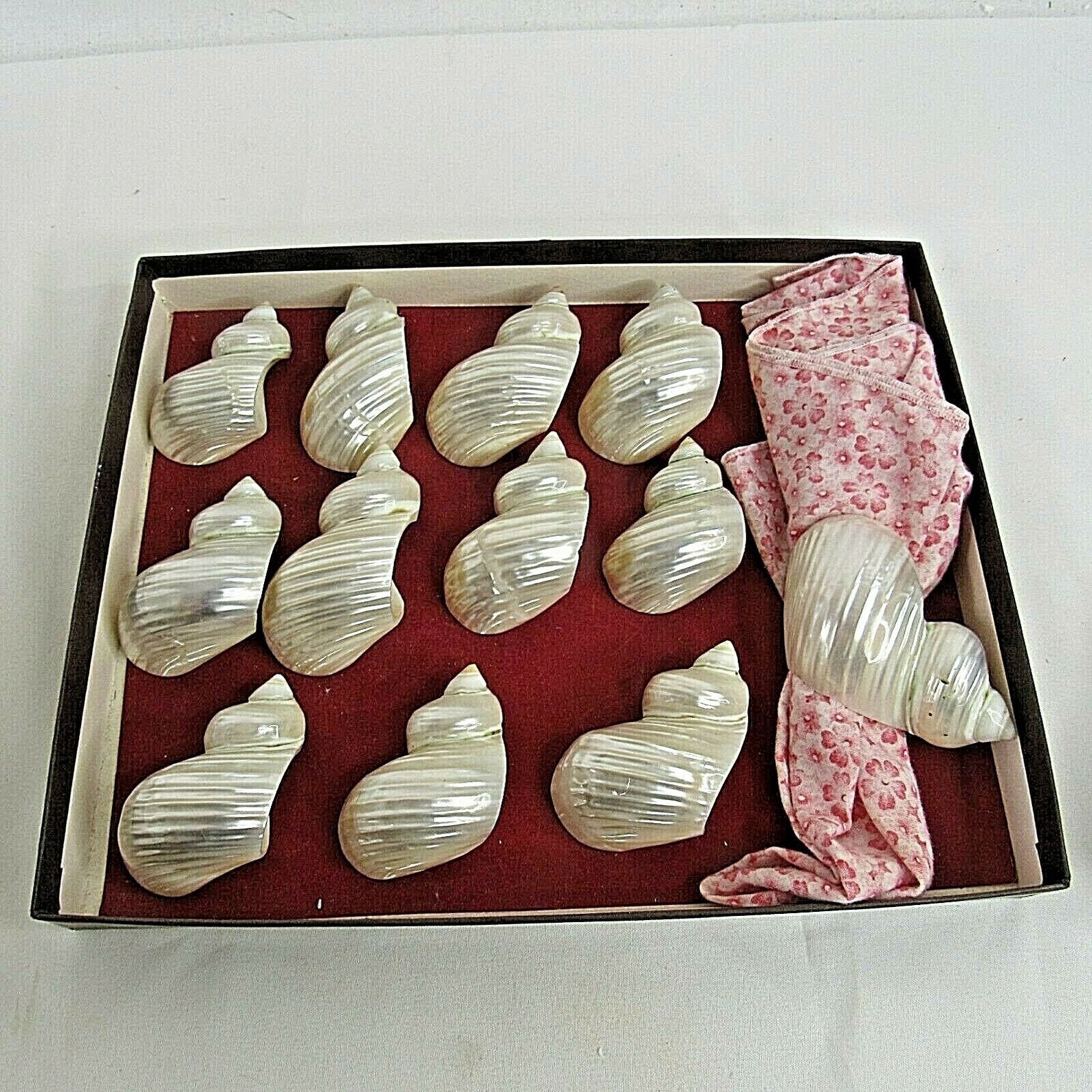 Spiral Seashell Napkin Ring Holders Iridescent Set of 12 Etsy