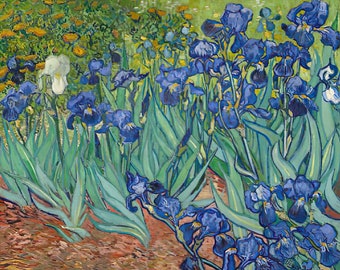 Paint by Numbers Kit Adult - Van Gogh - Irises - Adult Kit - Acrylic DIY Famous Paintings - Artists - UK Home Decor
