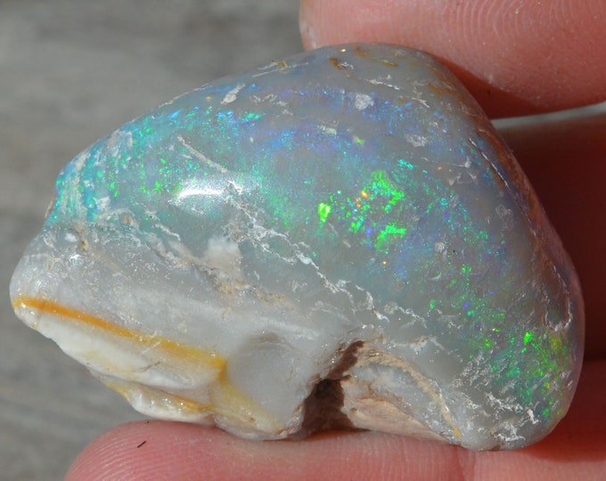 Australian Opal Fossil Shell, Large Coober Pedy Shell 109 Carats
