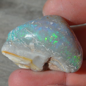 Australian Opal Fossil Shell, Large Coober Pedy Shell 109 Carats