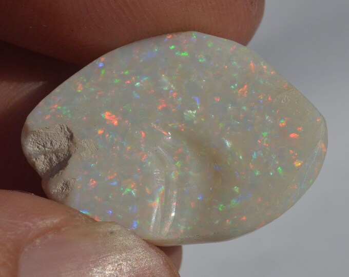Australian Opal Fossil Shell, Rare Full Colour 28.95 Carats