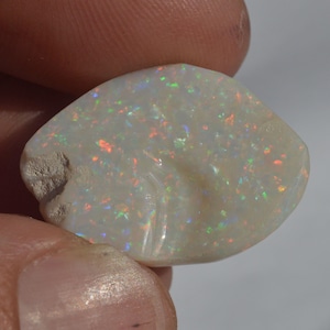 Australian Opal Fossil Shell, Rare Full Colour 28.95 Carats