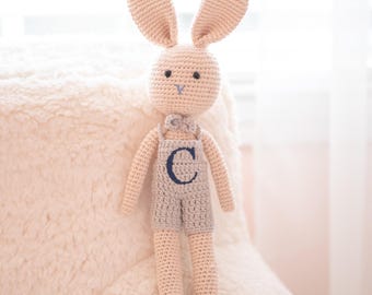 Personalized Crochet Doll, Embroidered Bunny, Monogrammed Baby Gift for Boys & Girls