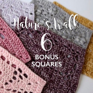 Nature's Walk Bonus Squares PDF Crochet Pattern