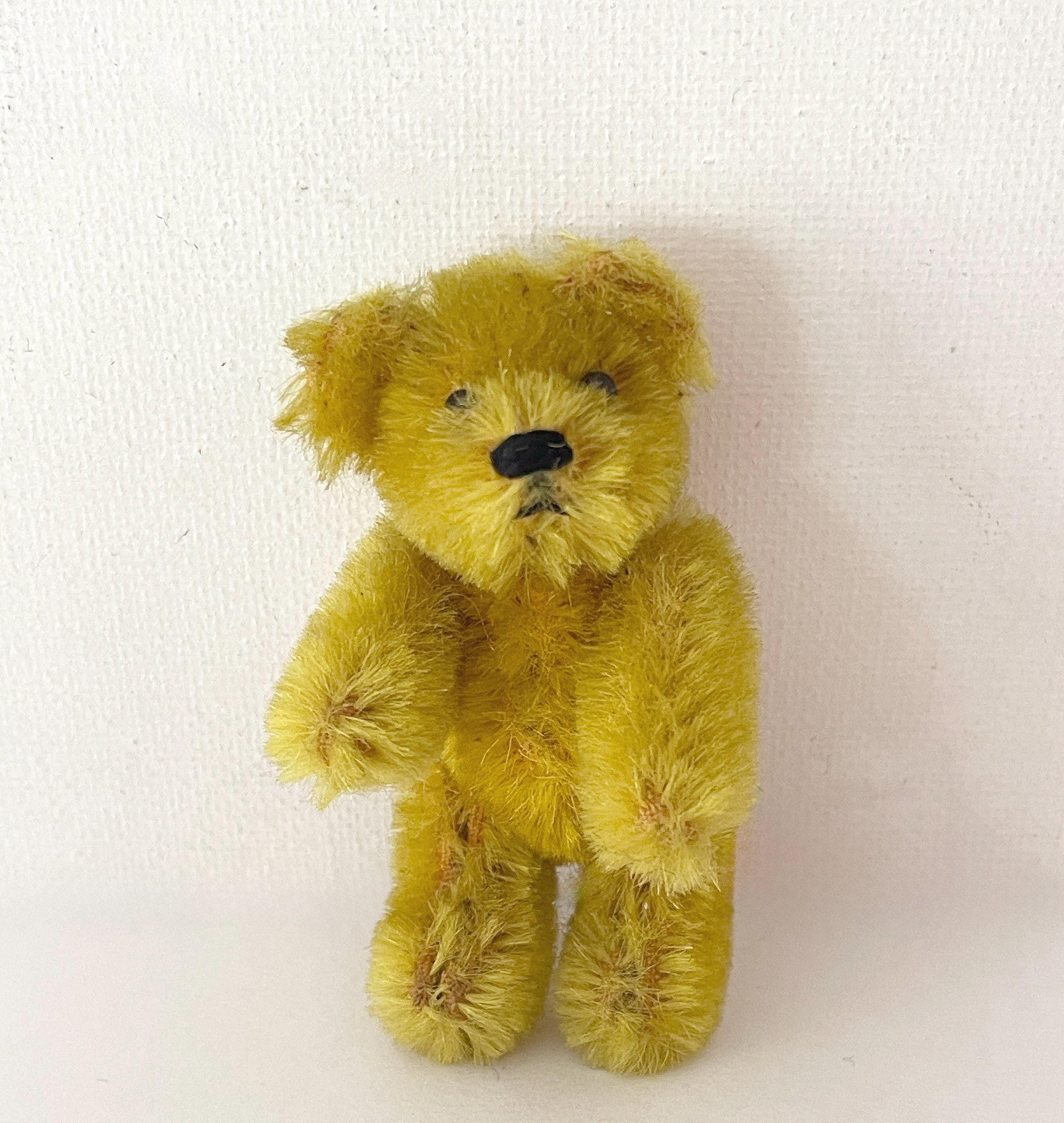 1920年代 シュコー ピッコロ レア 小さいクマさん コンパクト