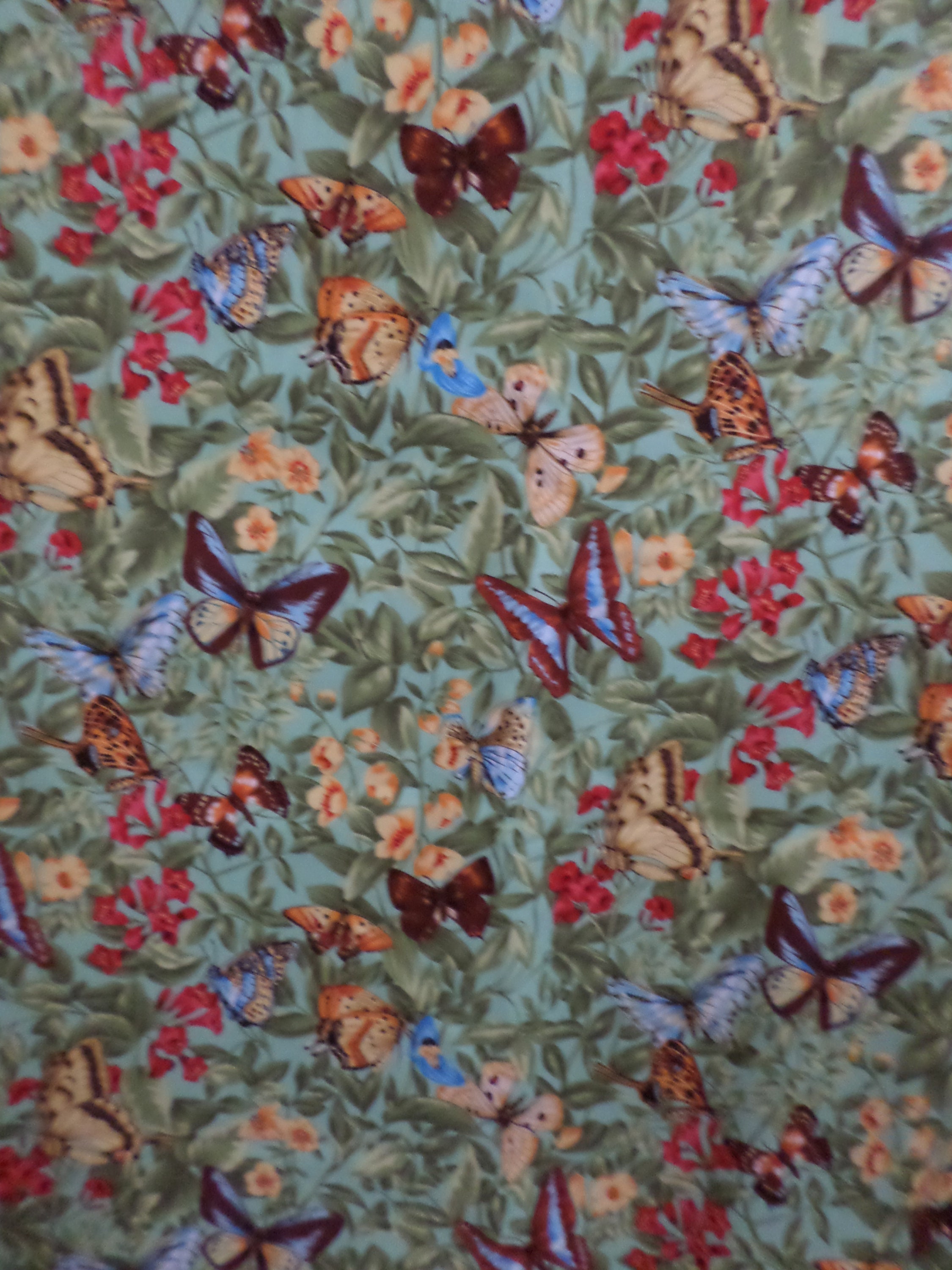 Beautiful Butterfly Fabric from Hancock Fabrics in a green | Etsy