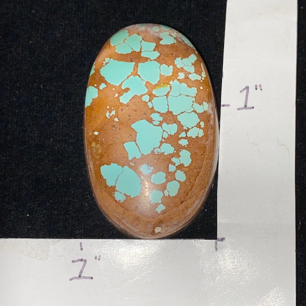 Number 8 Turquoise Cabochon