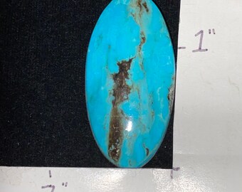 May include: A polished, oval-shaped turquoise gemstone, approximately 1 inch wide and 2 inches long, with dark brown matrix veining. The stone is set against a black background, with a white ruler marked with the measurements.