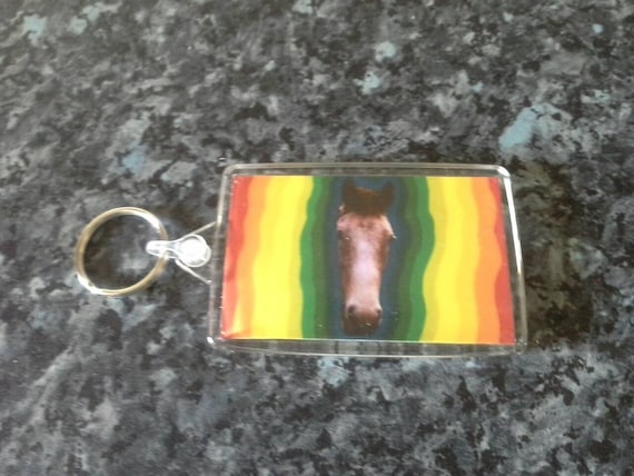 My Lovely Horse Keyring and Magnet Set Inspired by Father Ted NEW