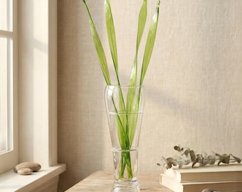 May include: A clear glass vase with a flared top and a decorative beaded band holds several long, green leaves. The vase sits on a wooden table near a window, with a stack of books and decorative stones in the background.