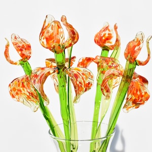 Può includere: Un vaso di vetro contiene un bouquet di fiori di vetro fatti a mano. I fiori hanno petali maculati arancioni e rossi e steli verdi. Il vaso è di vetro trasparente. I fiori sono un oggetto decorativo.