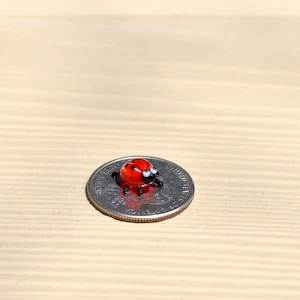 Worlds smallest  glass ladybug , whimsical, Lamp work miniature character from Glass Menagerie, Unique gift.