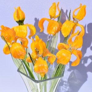 Beautiful   extra-long stem light orange glass Iris flower. Excellent addition to your glass collection. Each flower is priced individually.