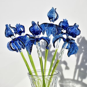 Può includere: Un mazzo di iris di vetro blu in un vaso di vetro trasparente. I fiori sono disposti a ventaglio e hanno steli verdi.