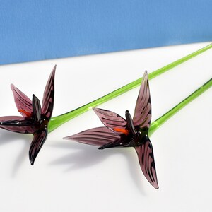 May include: Two glass flower sculptures with purple petals and green stems. The petals have dark purple veining and a touch of orange. The stems are long and slender, and the flowers are set against a white and blue background.