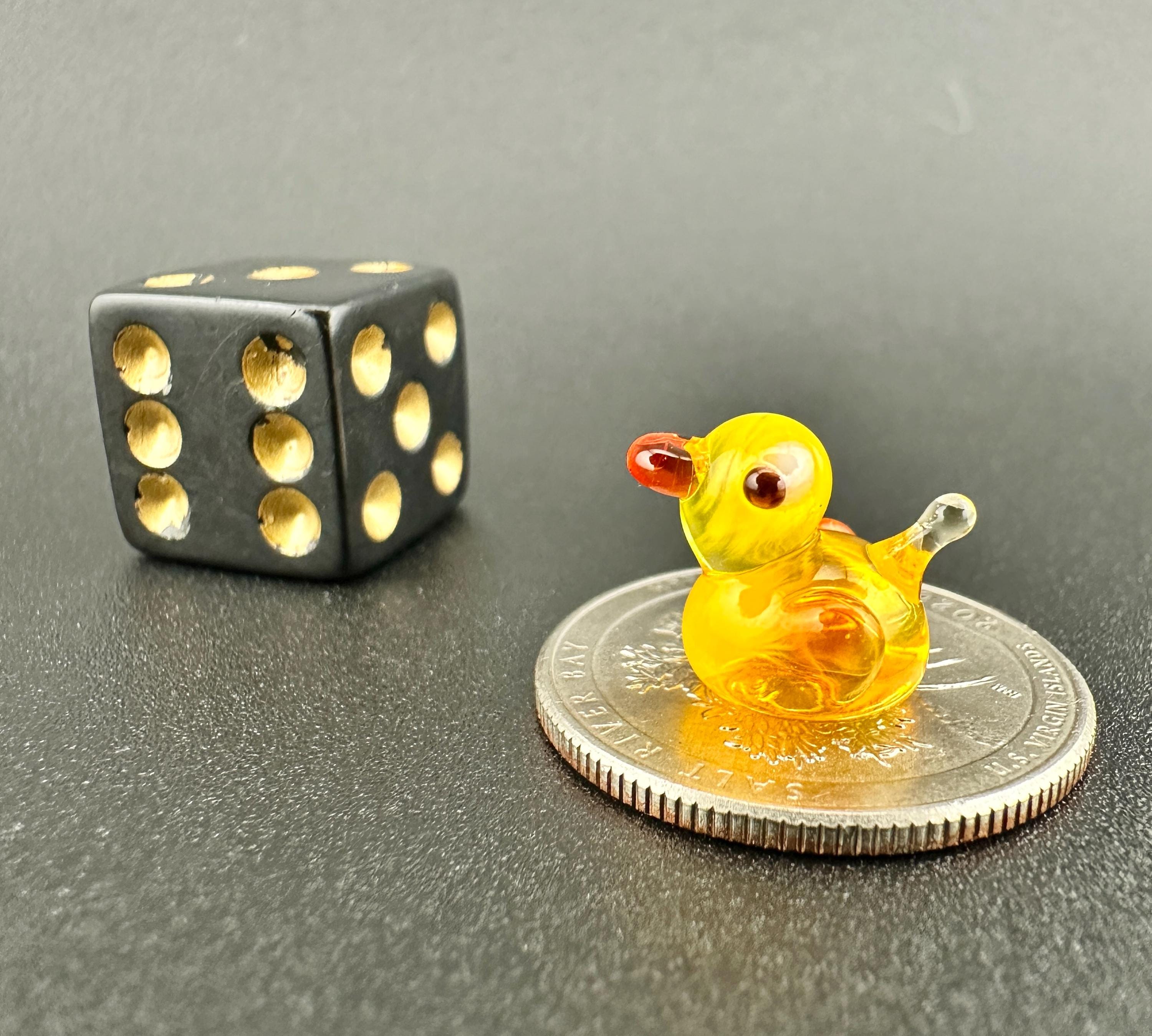 ミニガラスダック、小さなアヒル、ミニダック、クルーズダック、アヒル