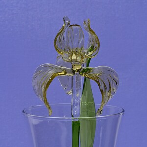 May include: A glass flower sculpture in the shape of an iris, with a yellow-tinted stem and leaves, in a clear glass vase.