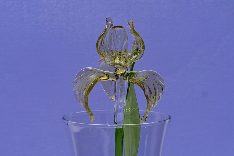 May include: A glass flower sculpture in the shape of an iris, with a yellow-tinted stem and leaves, in a clear glass vase.