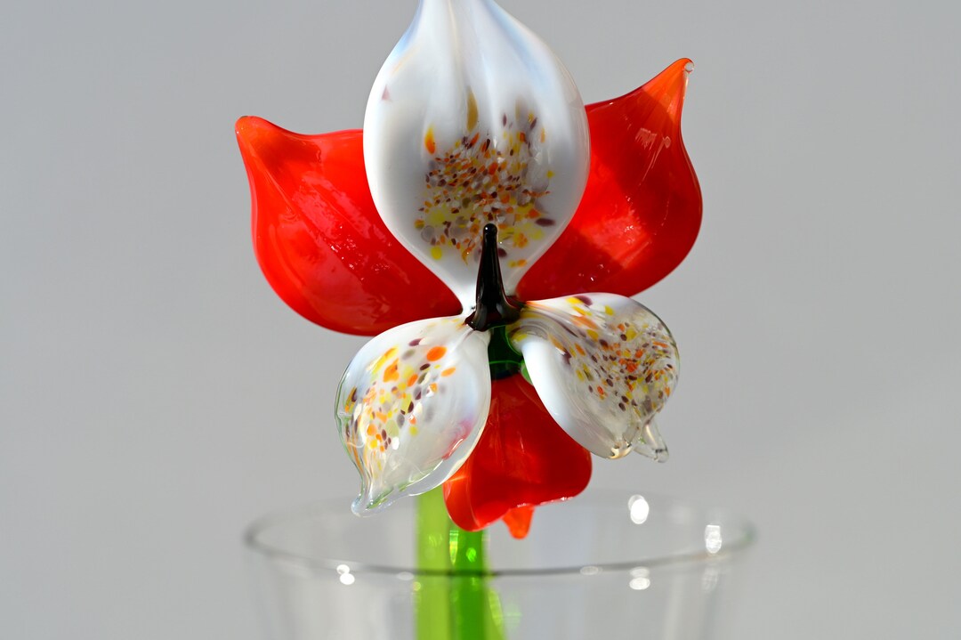 Beautiful Redwhite Glass Orchid Flower. Excellent Addition to Your