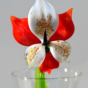 Beautiful red-white glass Orchid flower. Excellent addition to your  collection, unique gift. Each flower is priced individually.