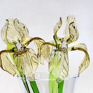 May include: Two glass iris flowers in a clear glass vase. The flowers are yellow and green and have a delicate, intricate design.