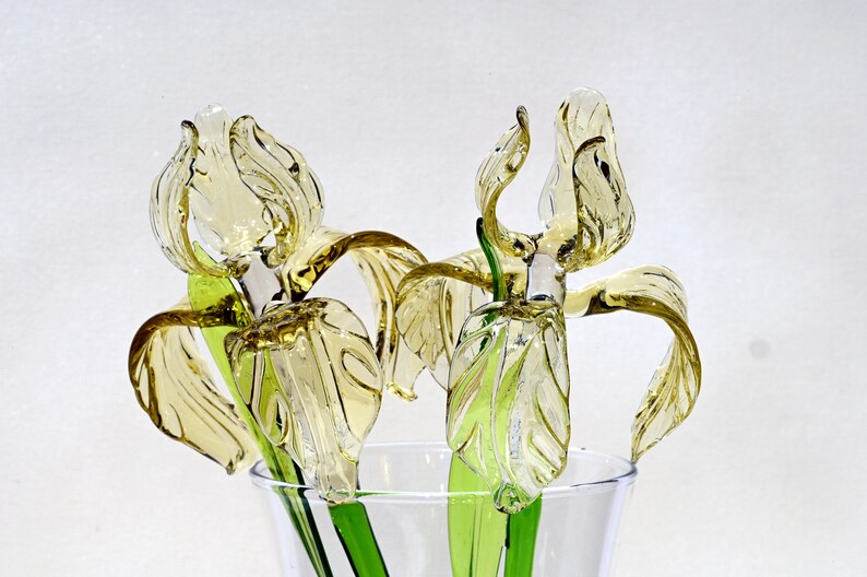 May include: Two glass iris flowers in a clear glass vase. The flowers are yellow and green and have a delicate, intricate design.