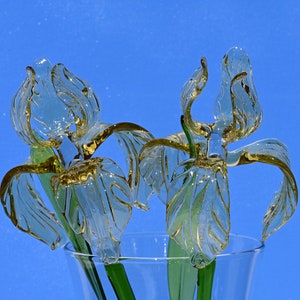 May include: Two glass iris flowers in a clear vase. The flowers are a light yellow color and have a delicate, intricate design. The vase is clear glass and has a simple design.