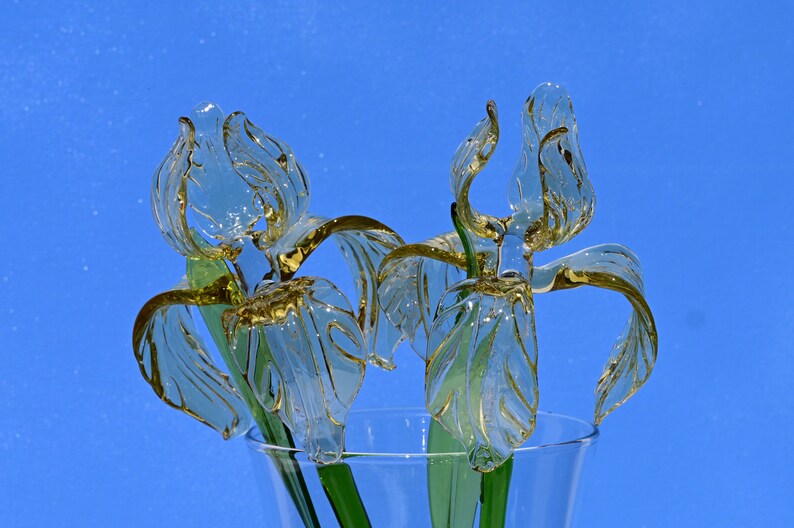 May include: Two glass iris flowers in a clear vase. The flowers are a light yellow color and have a delicate, intricate design. The vase is clear glass and has a simple design.