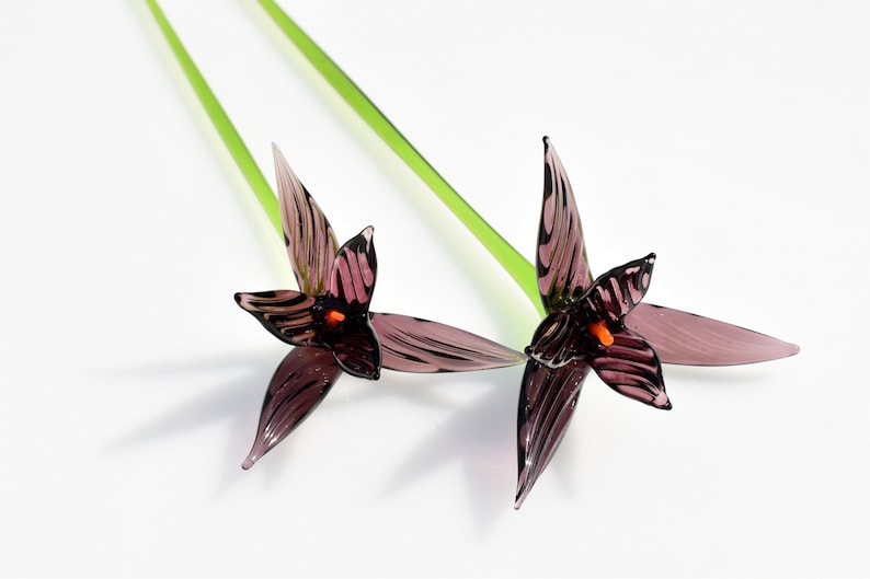 May include: Two glass flower sculptures with purple petals and orange centers. The petals have dark purple veining. The stems are green and extend upwards. The flowers are set against a white background.