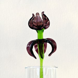 Beautiful purple glass Extra long stem Iris flower. Excellent addition to your collection, unique gift. Each flower is priced individually. image 3