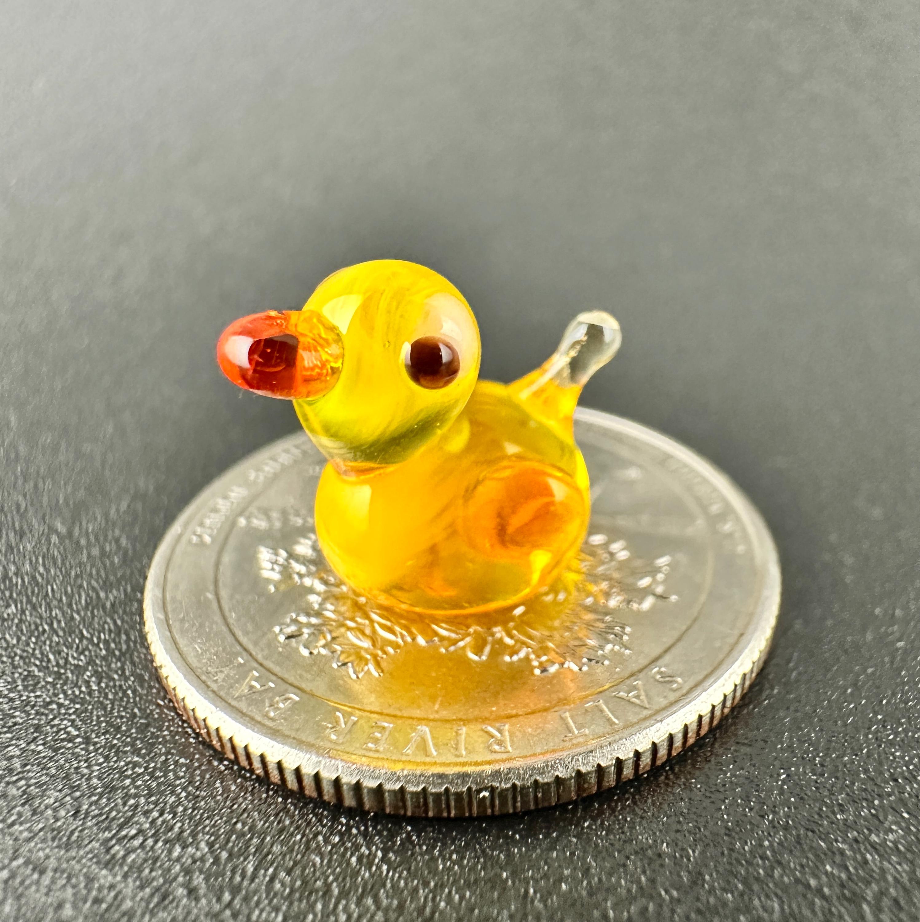 ミニガラスダック、小さなアヒル、ミニダック、クルーズダック、アヒル