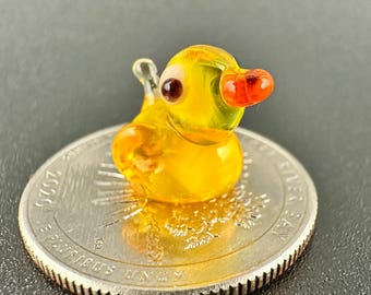 ミニガラスダック、小さなアヒル、ミニダック、クルーズダック、アヒル
