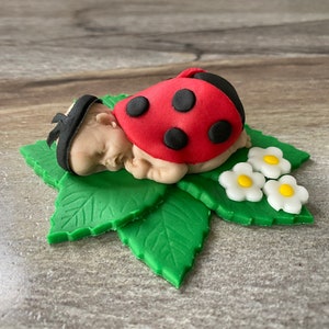Ladybug Baby