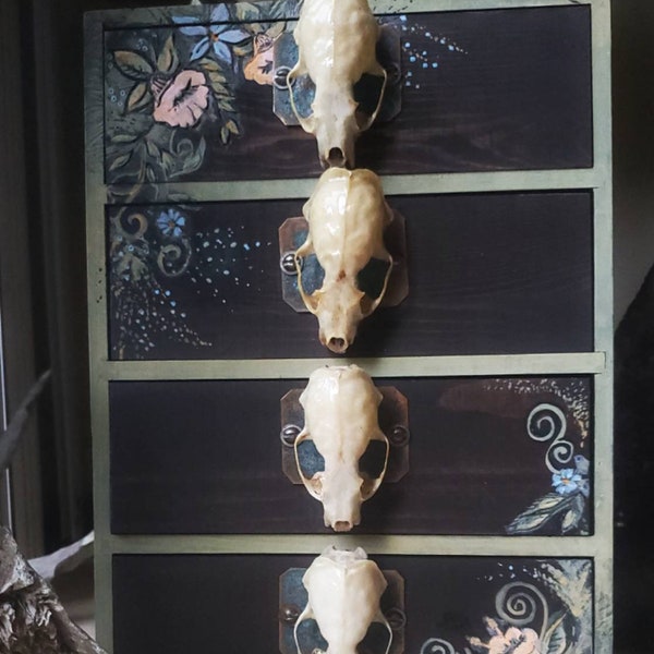 Cajón de alijo decorativo / joyería / caja de baratija con perillas de extracción de cráneo de visón real / decoración oscura / gótico del sur