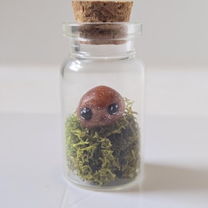 Op de afbeelding: Een kleine glazen fles met een kurk. Binnenin rust een bruin, gespikkeld wezen met zwarte ogen op een bedje van groen mos. Het heldere glas biedt een volledig zicht op de inhoud.
