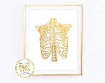 Rib Cage Skeleton Body, Gold Foil, Human Anatomy Art, Med student gift, Medical Wall Art, Chiropractor Bone Art Print, Doctor Art 01