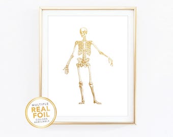 Full Human Skeleton Body, Gold Foil,Human Anatomy Art, Med student gift, Medical Wall Art, Chiropractor Bone Art Print, Doctor Art 01