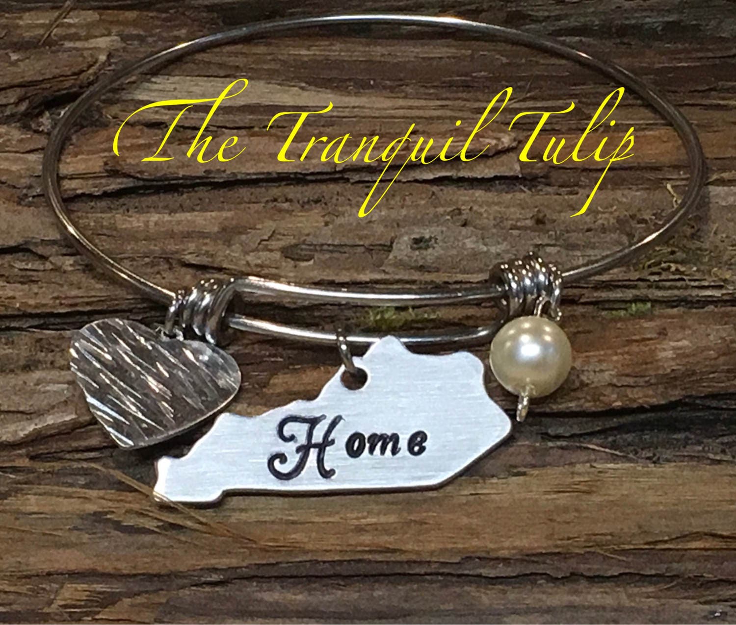 Louisville Cardinals Amara Silver Crystal Heart Earrings Jewelry Gift UL