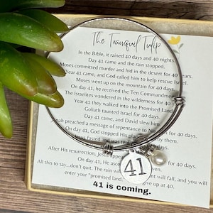 41 is Coming - Scripture Bracelet Silver or Gold - 40 Days & Nights - God's Promises - Christian Jewelry - Encouragement Gift - Wire Bangle