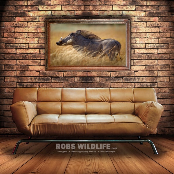 Running Warthog, Wildlife Photography, Africa Wildlife, Warthog Teeth, Fine Art, Landscape Photography, Animal Photography, Rob's Wildlife