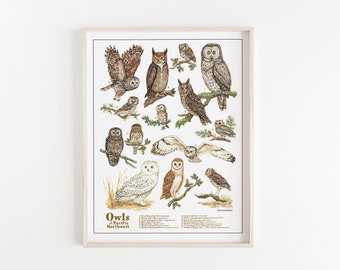 Owls of the Pacific Northwest Print / Owls of Oregon Giclee Print